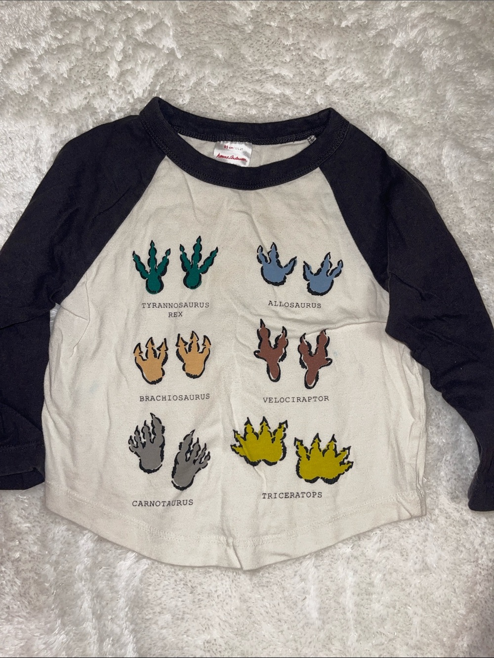 Hanna Andersson Cream Raglan Tee with Black Sleeves & Colorful Dino Prints